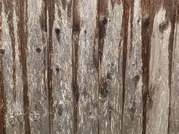 Weathered grey fence boards before staining