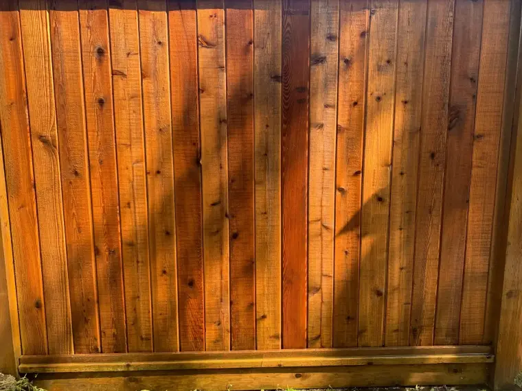 Cedar fence after semi-transparent staining by Colour Craft Painting